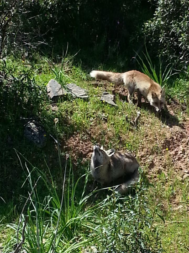 Fishing - 936830509239135790992753449201n.jpg